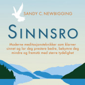 Sinnsro - Moderne meditasjonsteknikker som klarner sinnet av Sandy Newbigging (Nedlastbar lydbok)