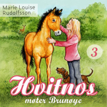 Hvitnos møter Brunøye av Marie Louise Rudolfsson (Nedlastbar lydbok)