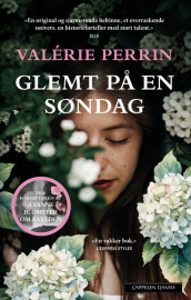 Glemt på en søndag av Valérie Perrin (Innbundet)