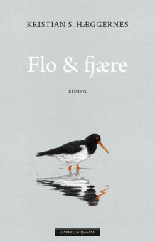 Flo & fjære av Kristian S. Hæggernes (Ebok)