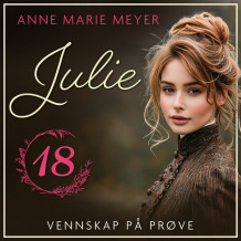 Vennskap på prøve av Anne Marie Meyer (Nedlastbar lydbok)