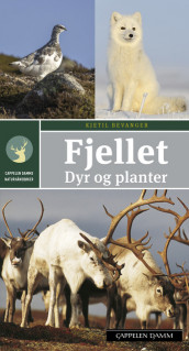 Fjellet. Dyr og planter av Kjetil Bevanger (Heftet)