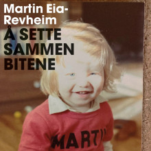 Å sette sammen bitene - Min historie om vold, skam og reparasjon av Martin Revheim (Nedlastbar lydbok)