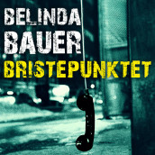 Bristepunktet av Belinda Bauer (Nedlastbar lydbok)