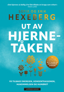 Ut av hjernetåken av Erik Hexeberg og Sofie Hexeberg (Innbundet)