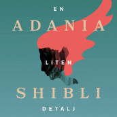 En liten detalj av Adania Shibli (Nedlastbar lydbok)