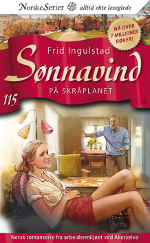 På skråplanet av Frid Ingulstad (Ebok)