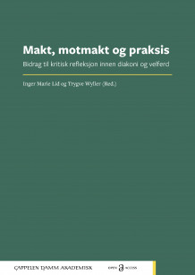 Makt, motmakt og praksis av Inger Marie Hauglid og Trygve Wyller (Ebok)