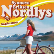 Skjebnemøte av Synnøve Eriksen (Nedlastbar lydbok)