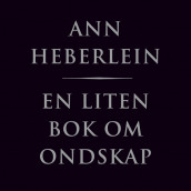En liten bok om ondskap av Ann Heberlein (Nedlastbar lydbok)