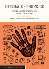 Flerspråklighetsdidaktikk av Birgitte Fondevik og Elena Tkachenko (Heftet)