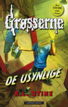 Grøsserne – De usynlige av R.L. Stine (Innbundet)