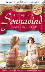 Ingen røk uten ild av Frid Ingulstad (Ebok)