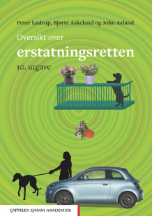 Oversikt over erstatningsretten av John Asland, Bjarte Askeland og Peter Lødrup (Ebok)