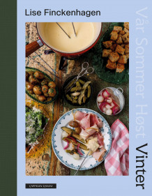 Vinter av Lise Finckenhagen (Innbundet)