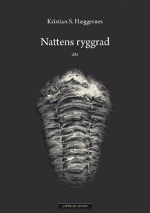 Nattens ryggrad av Kristian S. Hæggernes (Ebok)