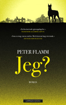 Jeg? av Peter Flamm (Innbundet)
