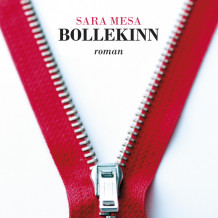 Bollekinn av Sara Mesa (Nedlastbar lydbok)