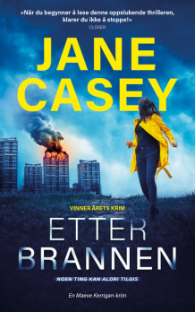 Etter brannen av Jane Casey (Ebok)