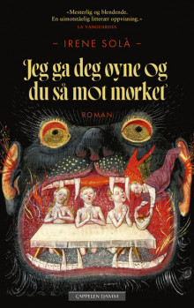 Jeg ga deg øyne og du så mot mørket av Irene Solà (Innbundet)