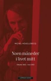 Noen måneder i livet mitt av Michel Houellebecq (Ebok)