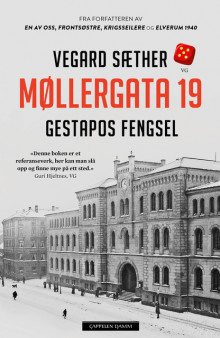 Møllergata 19 av Vegard Sæther (Innbundet)