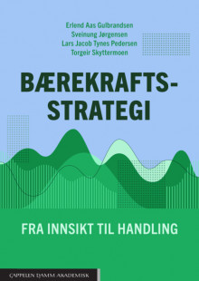 Bærekraftsstrategi av Erlend Aas Gulbrandsen, Sveinung Jørgensen, Lars Jacob Tynes Pedersen og Torgeir Skyttermoen (Heftet)