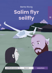 Leseunivers 10: Salim flyr seilfly av Bente Risvig (Innbundet)