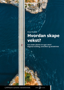 Hvordan skape vekst? av Knut Vareide (Heftet)