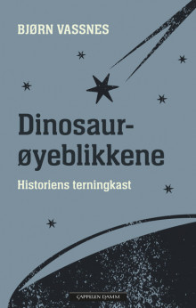 Dinosaurøyeblikkene av Bjørn Roar Vassnes (Innbundet)
