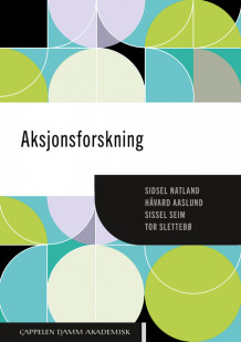 Aksjonsforskning av Sidsel Natland, Håvard Aaslund, Sissel Seim og Tor Slettebø (Heftet)