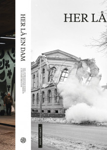 Her lå en dam av Eivind Hofstad Evjemo (Innbundet)