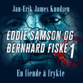 En fiende å frykte av Jan-Erik James Knudsen (Nedlastbar lydbok)