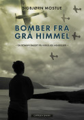 Omslag - Bomber fra grå himmel