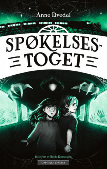 Spøkelsestoget av Anne Elvedal (Ebok)
