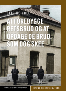 At forebygge Retsbrud og at opdage de Brud, som dog skee av Geir Heivoll (Innbundet)