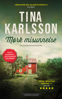 Mørk misunnelse av Tina Karlsson (Heftet)