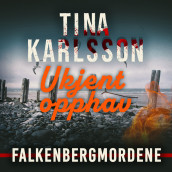 Ukjent opphav av Tina Karlsson (Nedlastbar lydbok)