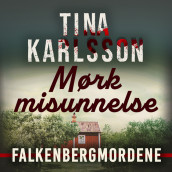 Mørk misunnelse av Tina Karlsson (Nedlastbar lydbok)