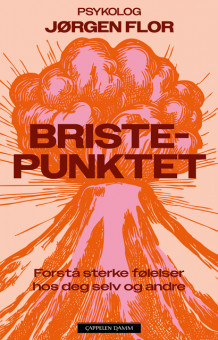 Bristepunktet av Jørgen Flor (Innbundet)