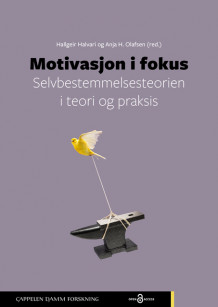 Motivasjon i fokus av Hallgeir Halvari og Anja H. Olafsen (Heftet)