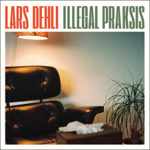 Illegal praksis av Lars Dehli (Nedlastbar lydbok)