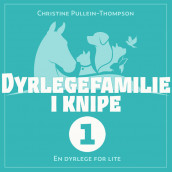 En dyrlege for lite av Christine Pullein-Thompson (Nedlastbar lydbok)
