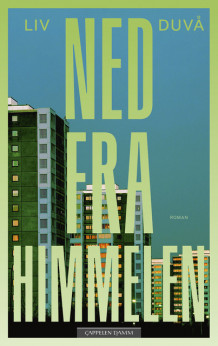 Ned fra himmelen av Liv Duvå (Innbundet)