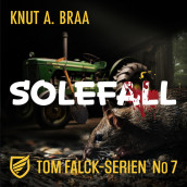 Solefall av Knut Arnljot Braa (Nedlastbar lydbok)