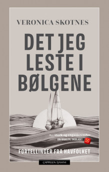 Det jeg leste i bølgene av Veronica Skotnes (Heftet)