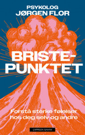 Bristepunktet av Jørgen Flor (Ebok)