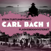 Flaskebekkmysteriet av Stein Turtumøygard (Nedlastbar lydbok)