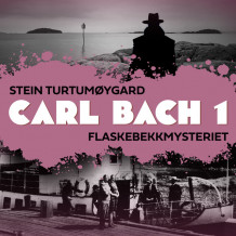 Flaskebekkmysteriet av Stein Turtumøygard (Nedlastbar lydbok)