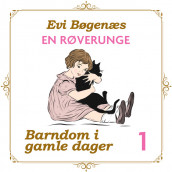 En røverunge av Evi Bøgenæs (Nedlastbar lydbok)